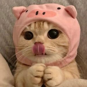 ***Reserved purchase! Do not buy unless for you!***